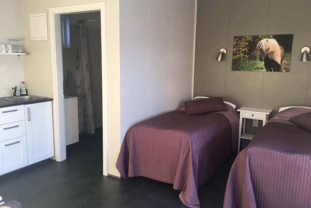 Stryta Apartment 3 Olfus エクステリア 写真
