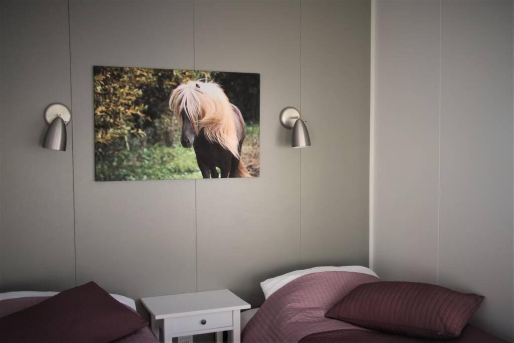 Stryta Apartment 3 Olfus エクステリア 写真